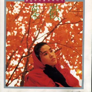 意大利天体会视频
