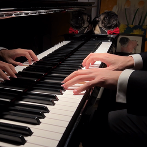 意大利天体会视频
